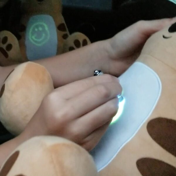 T3-70 - AniMates Glow Plush Brown Bear - Image 2
