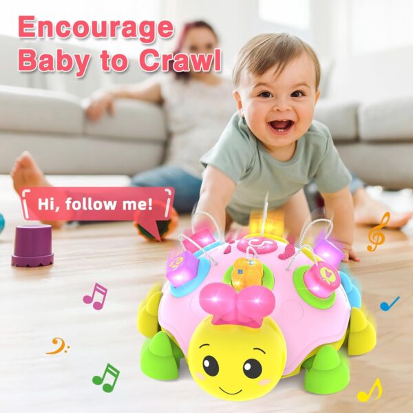 T3-335 - B/O Musical Ladybug Shape Sorter Toy - Image 3