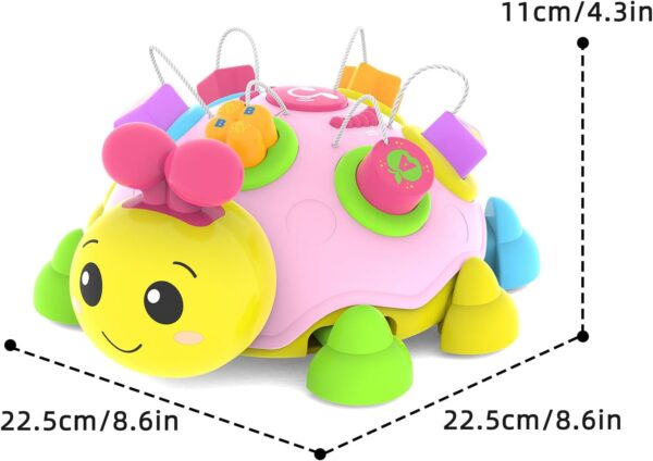 T3-335 - B/O Musical Ladybug Shape Sorter Toy - Image 7