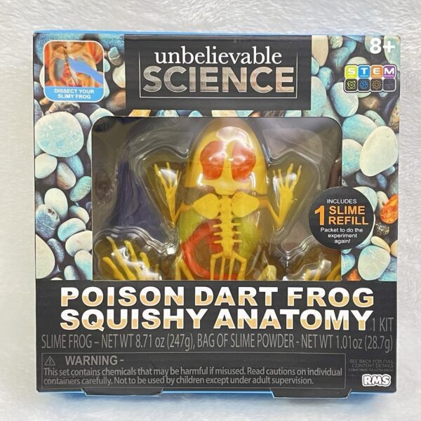 T4-51 - Squishy Anatomy (Frog/Gecko) - Image 2