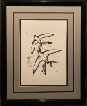 Robert Kakaygeesick - The Messengers Framed