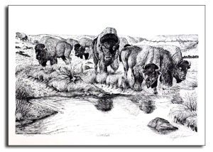 Terry McLean - Waterhole - Print